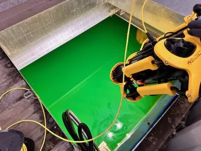 Sterke algengroei in een sprinklertank